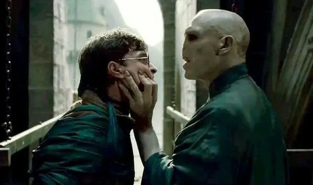 Voldemort and Harry 
