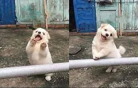 Wait! Stop scrolling! 