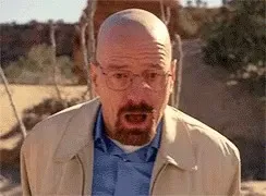 Walter White 