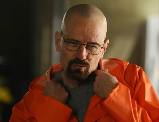 Walter white Approves 