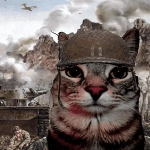 War Cat