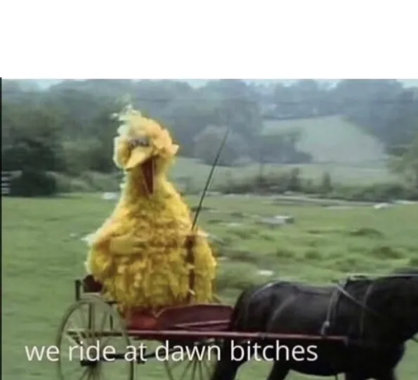 We ride at dawn bitches 