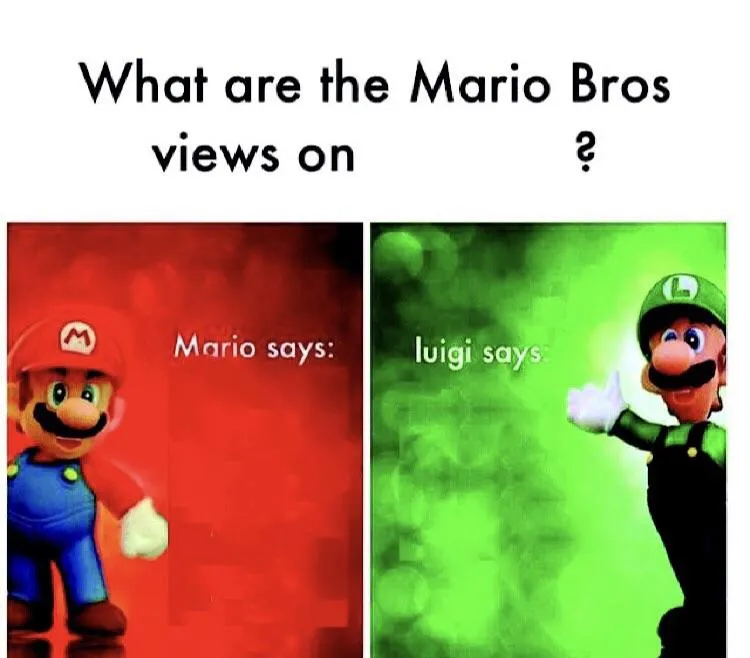What are the mario bros views on: ? 