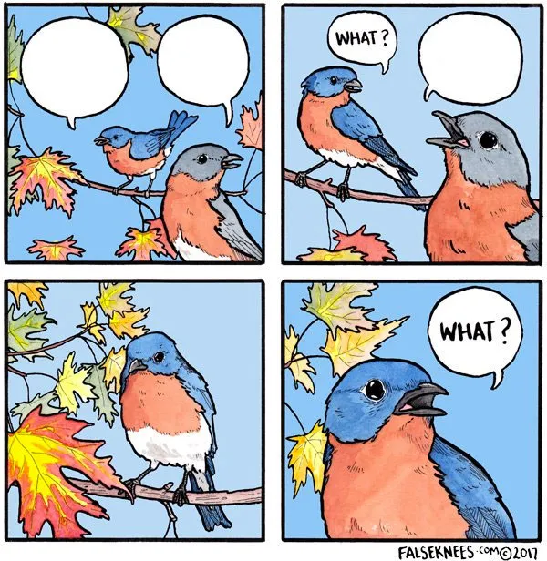 What bird 