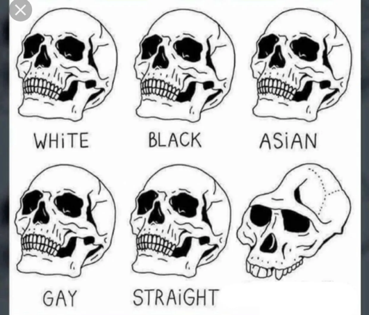 White Black Asian Gay Straight skull template 