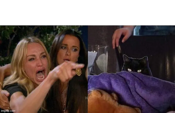 Woman Yelling At taclivE 