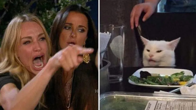 Woman yelling at white cat 