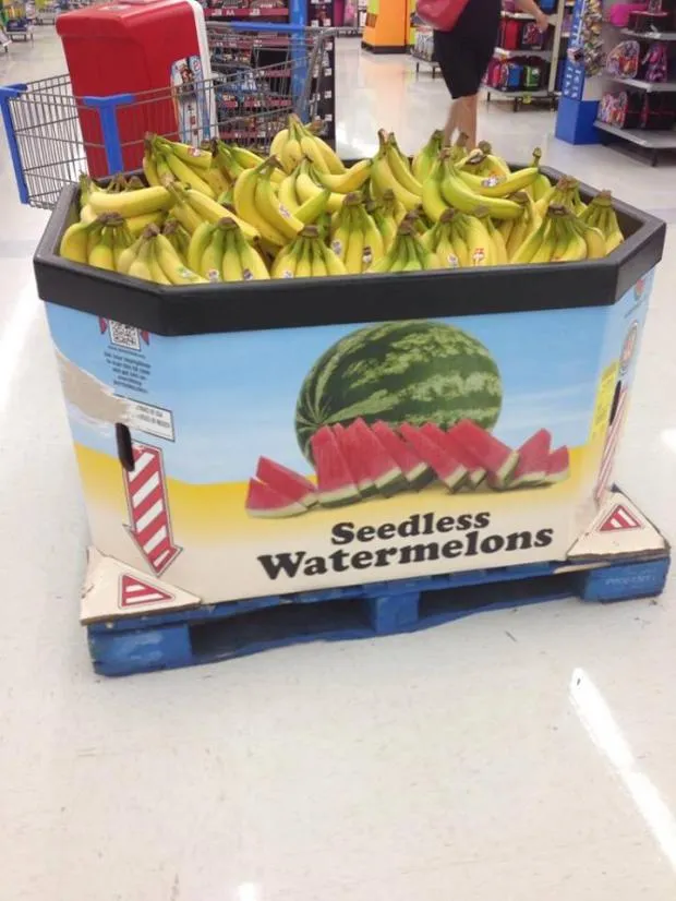 YOU HAD ONE JOB 