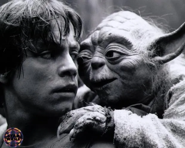 Yoda & Luke 