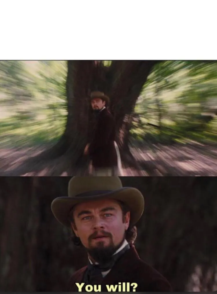 You will? Leonardo, django 