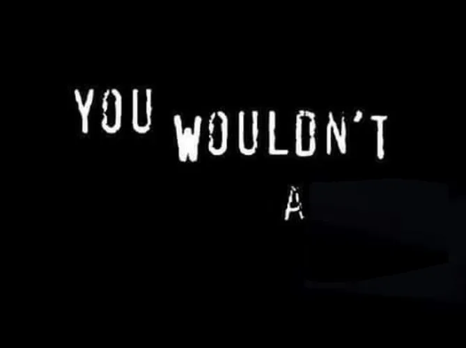 You wouldn’t X a Y