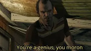 You're a genius, you moron 