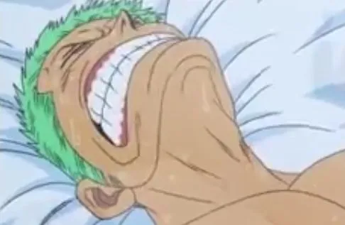 Zoro in Pain 
