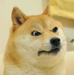 angry doge 