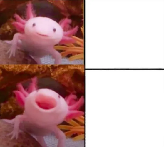 axolotl drake 