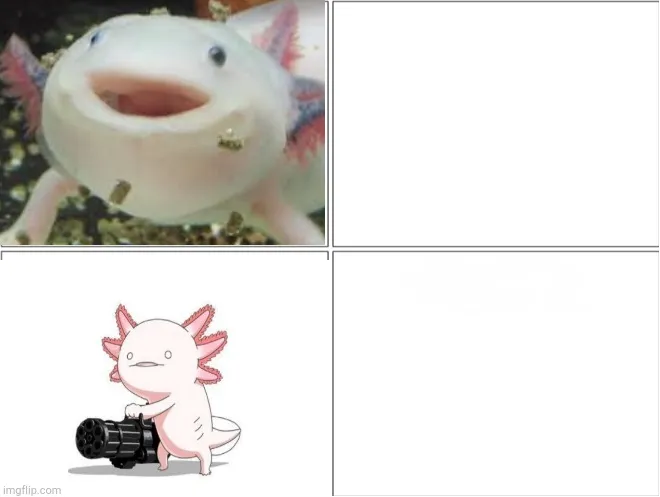 axolotl 