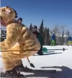 be a giraffe, be colorado 