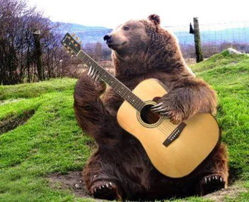 bear with guitar 