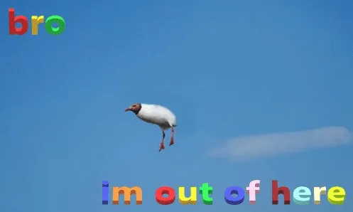bro im out of here 