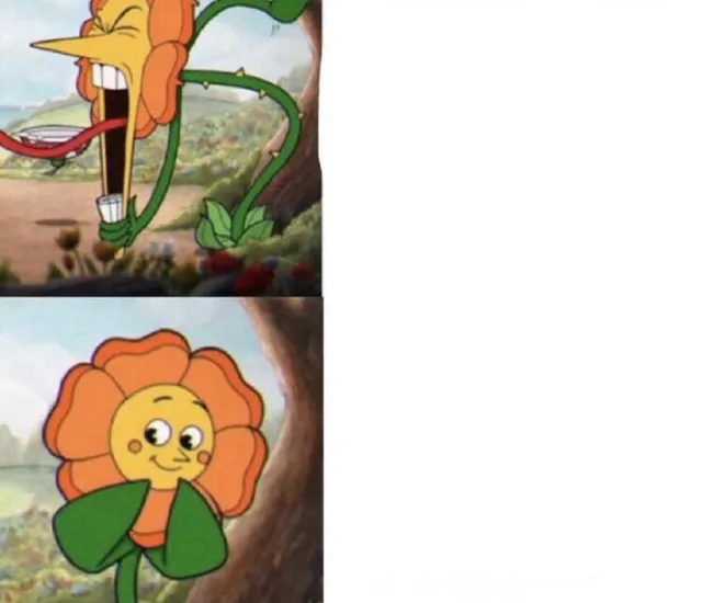 cagney carnation 