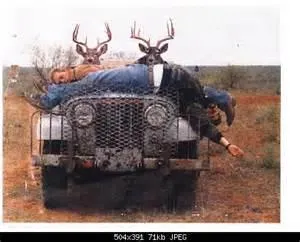 deerjeep 