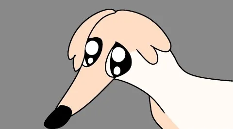 didn't i do it for you 