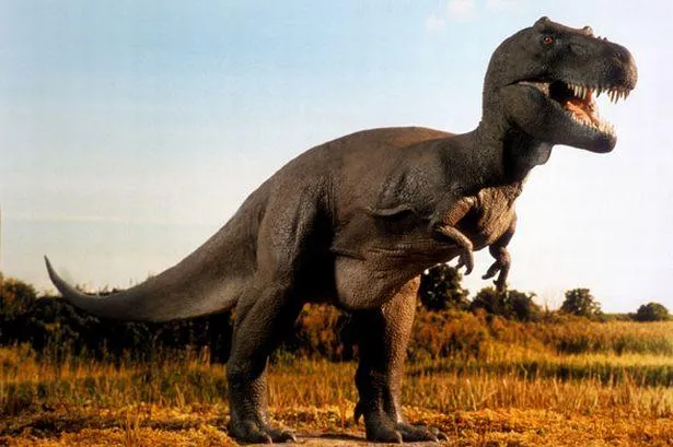 dinosaur 