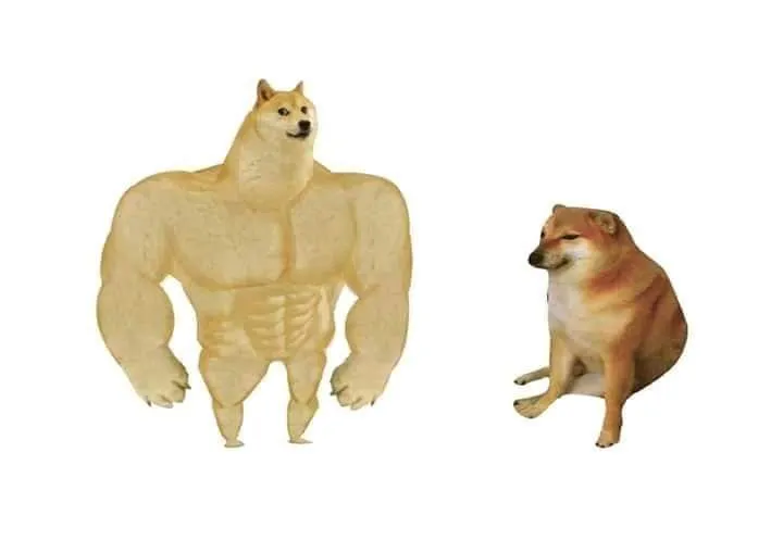 doge then and now 