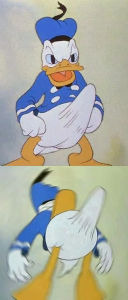 donald duck boner 