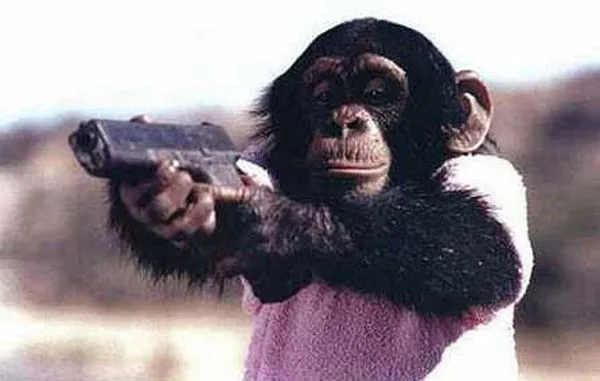 don't mess with me 