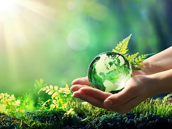 environment earth protect 