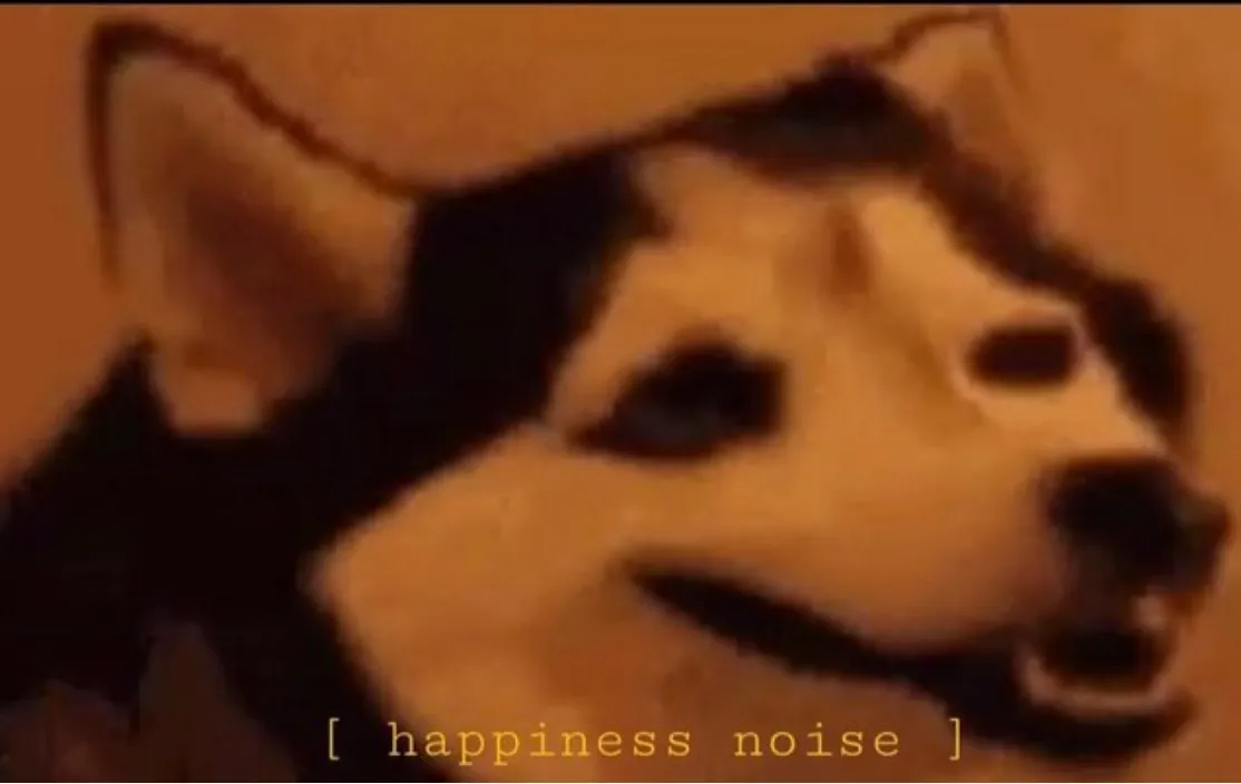 happines noise 