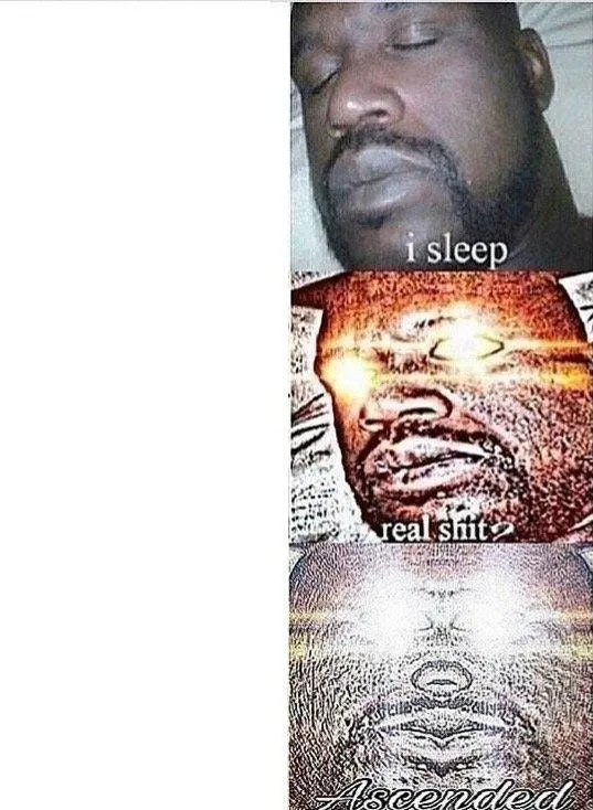 i sleep, REAL SHIT ,ASCENDED 