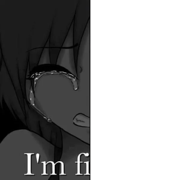 im fi 