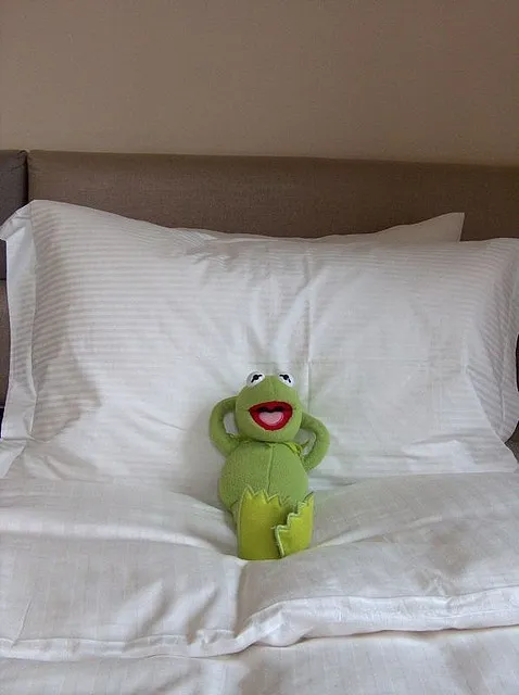 kermit bed 