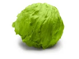 lettuce 