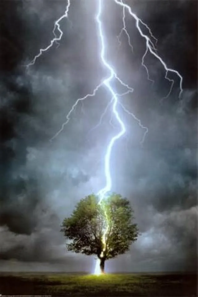 lightning-tree-strike 
