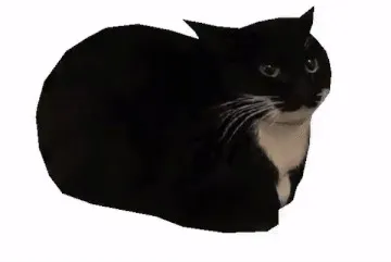 maxwell the cat 