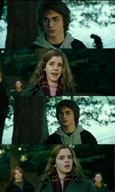 messed up convo (harry potter) 