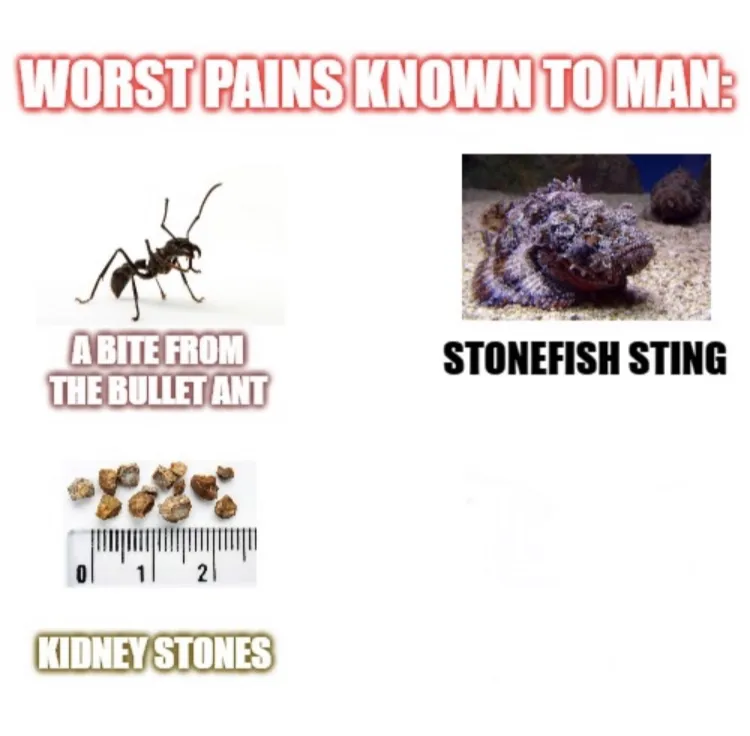 most painful things known to man 