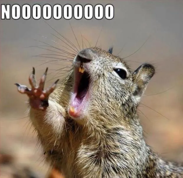 noooooooooooooooooooooooo 