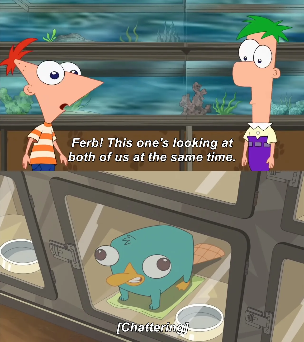 phineas and ferb 