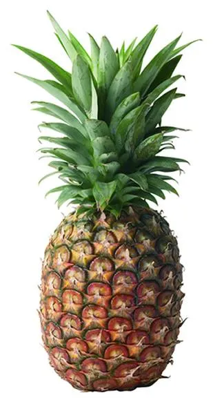 pineapple 