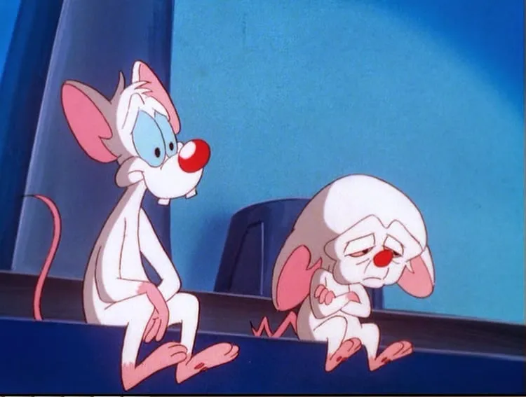pinky and the brain 