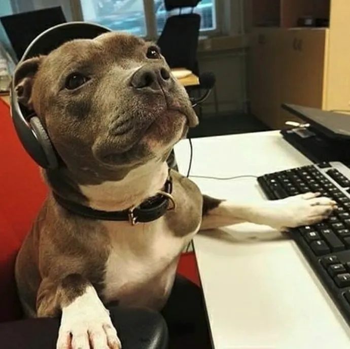 pit bull tech support 