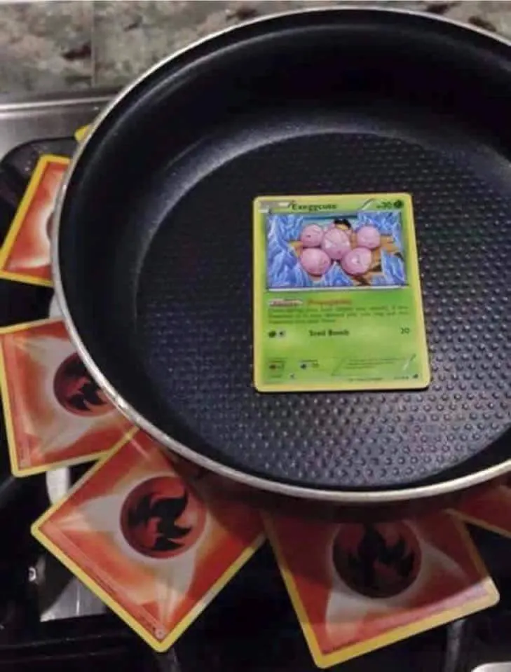 pokémon cooking 