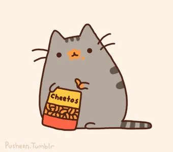 pusheen stole the cheetos 