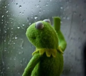 sad kermit at window 