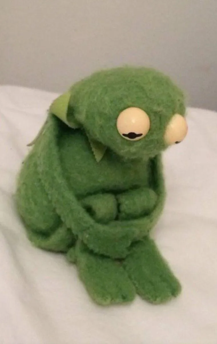 sad kermit 