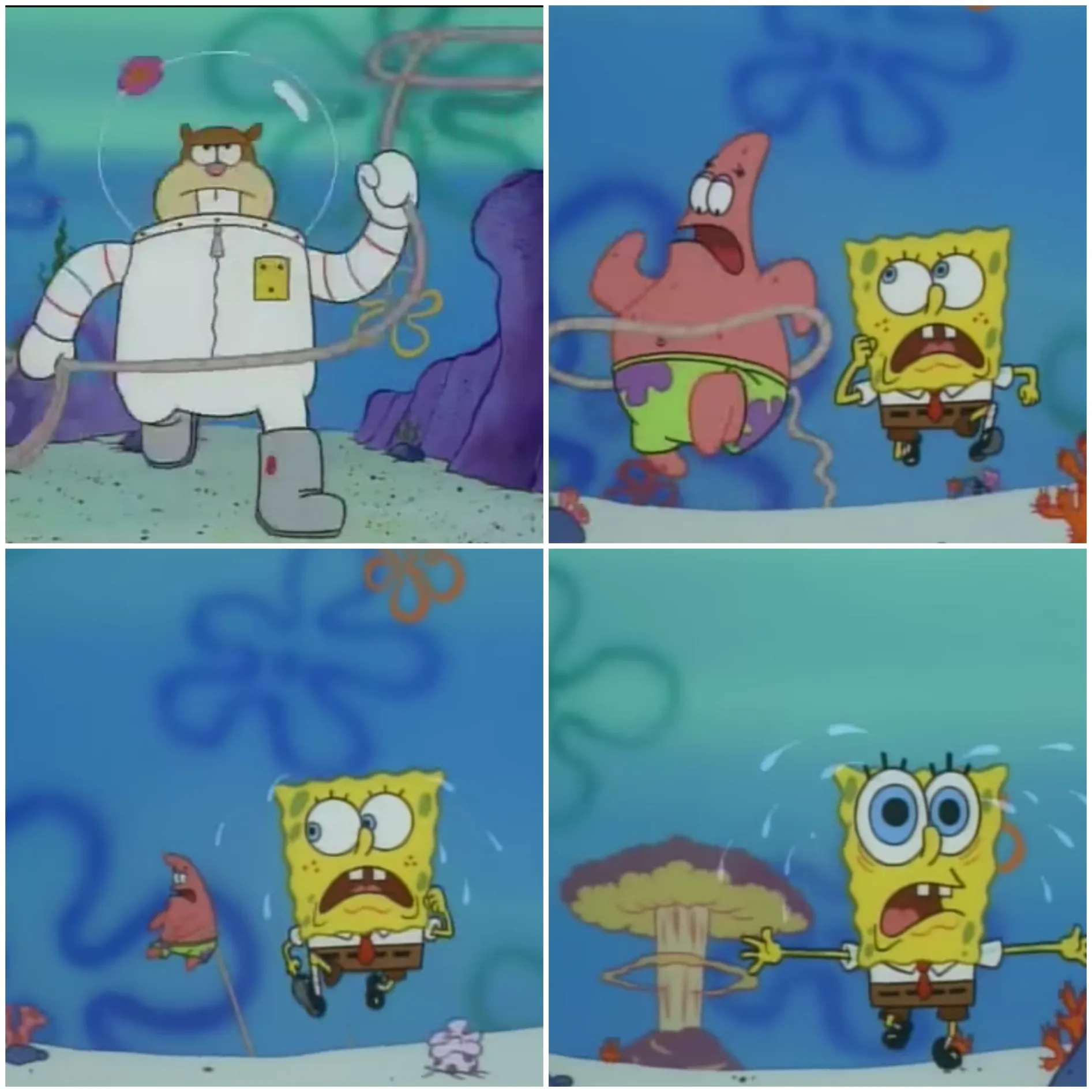 sandy chasing spongebob 